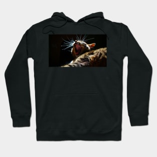 Yawning Kitten Hoodie